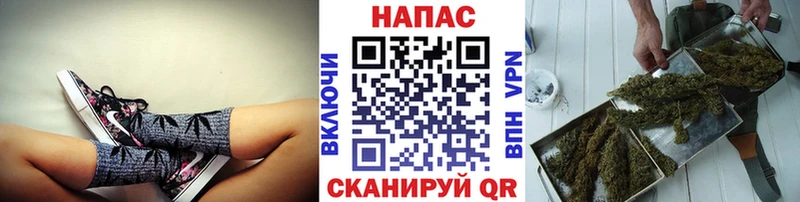 Конопля ГИДРОПОН Георгиевск